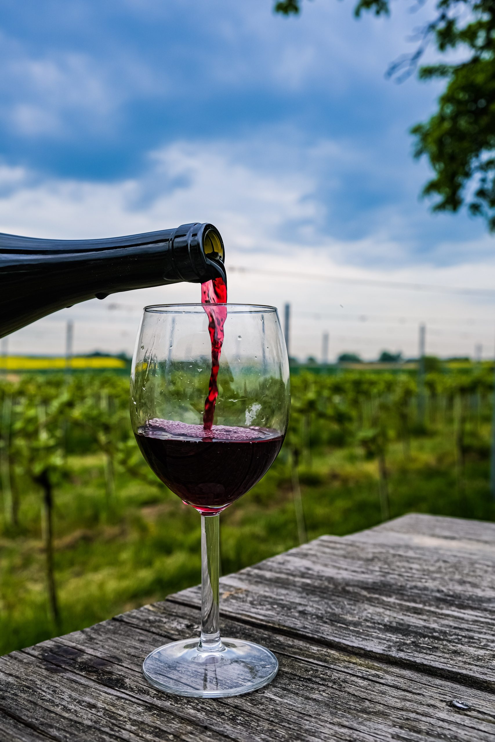 Learn about wine making in Wroclaw